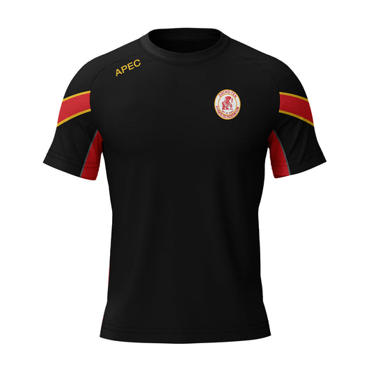 Moone Martial Arts Adult T-Shirt