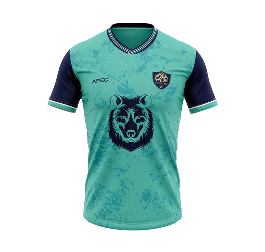 Cappakeel FC Adult Mint Jersey