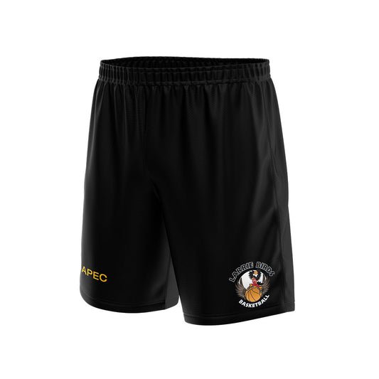 Larrie Birds Youth Basketball Shorts